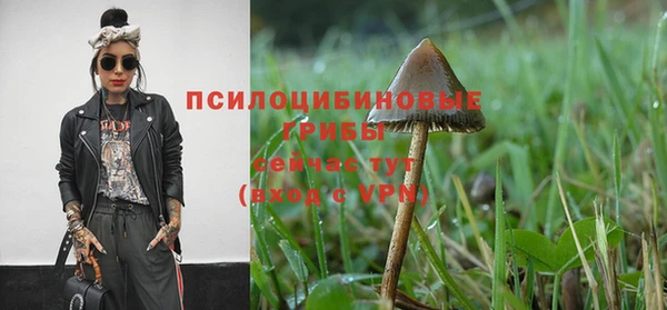 COCAINE Вяземский