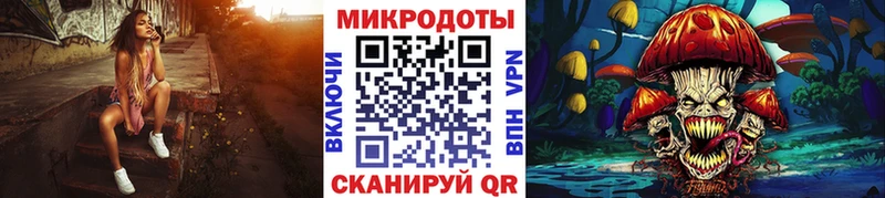 Купить  Тулун  Галлюциногенные грибы мицелий 